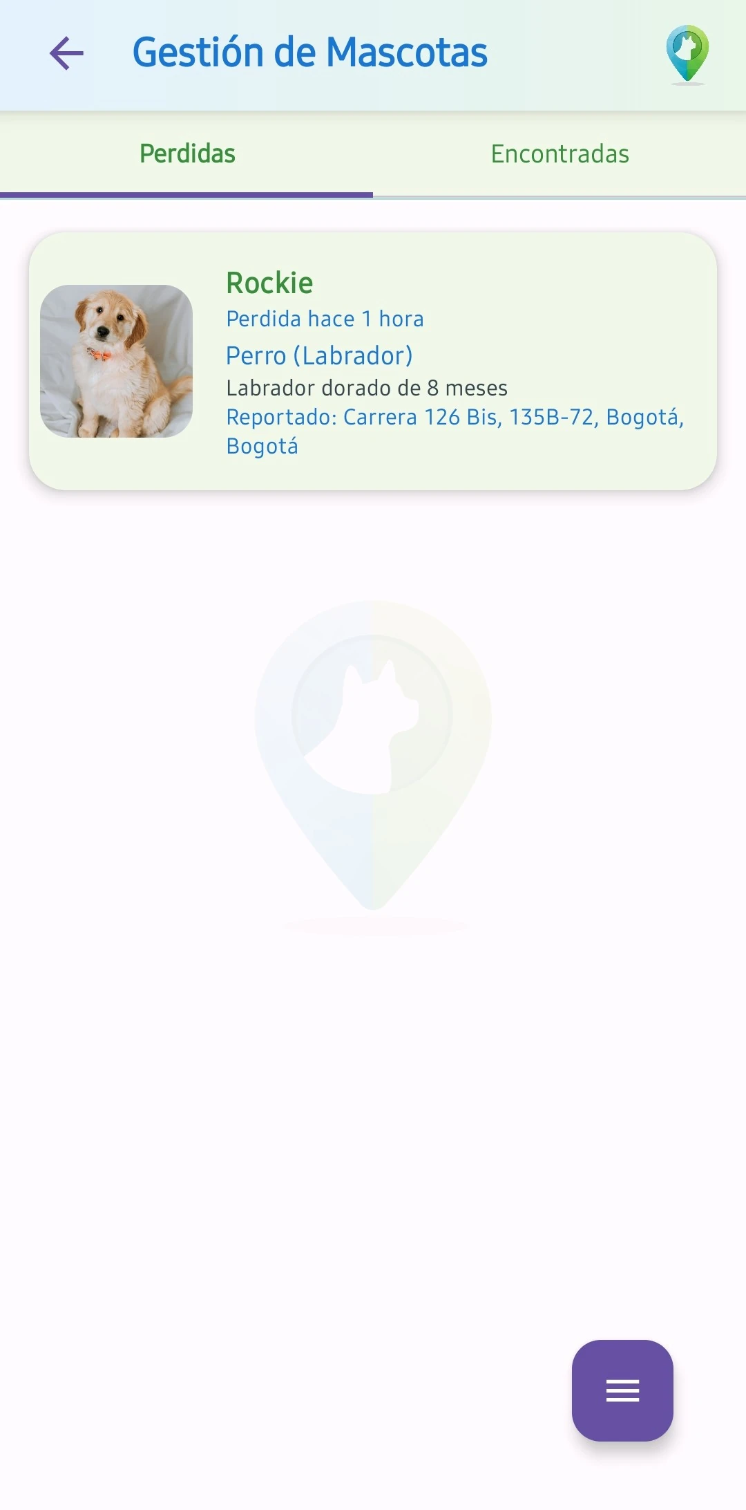 Mascotas Perdidas